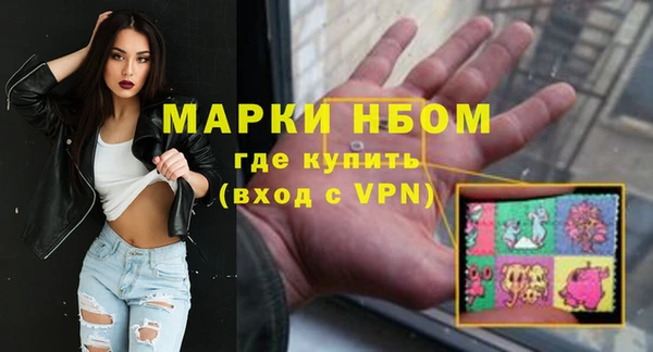 прущие грибы Абаза