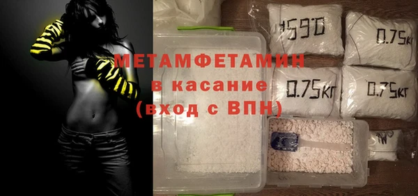 прущие грибы Абаза