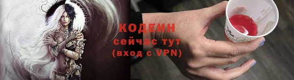 прущие грибы Абаза