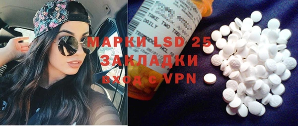 прущие грибы Абаза
