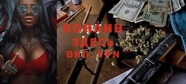 прущие грибы Абаза