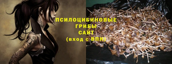 гашик Абинск