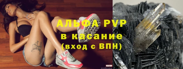 прущие грибы Каменск-Шахтинский